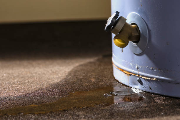 Best Sewage cleanup and water damage restoration  in Farmer City, IL