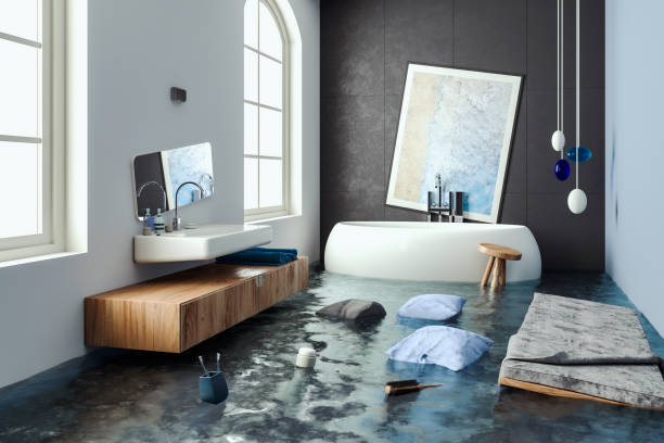Best Water damage restoration specialists  in Farmer City, IL