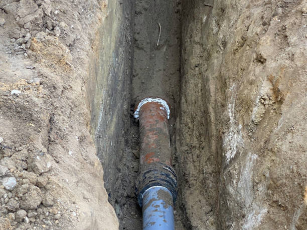 Best Flood damage cleanup  in Farmer City, IL