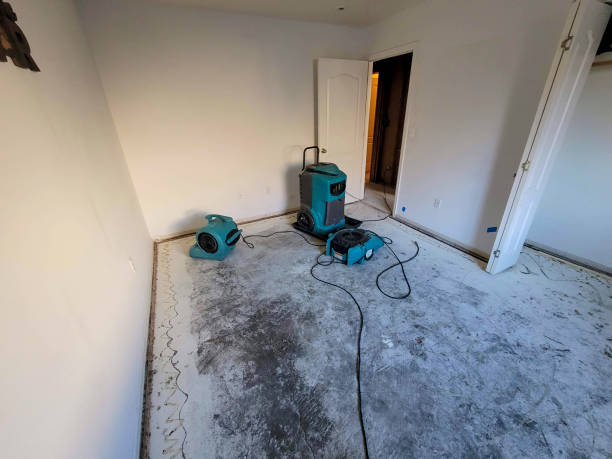 Best Ceiling water damage repair  in Farmer City, IL