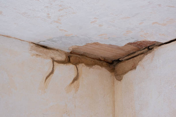 Best Residential water damage restoration  in Farmer City, IL