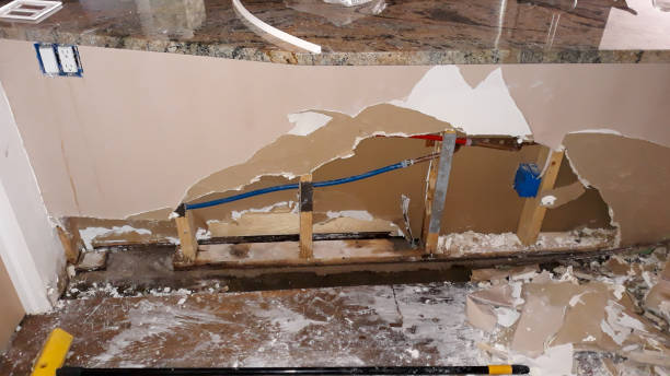 Best Local water damage restoration  in Farmer City, IL