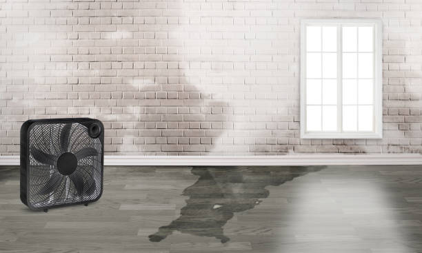  Farmer City, IL Water damage restoration Pros