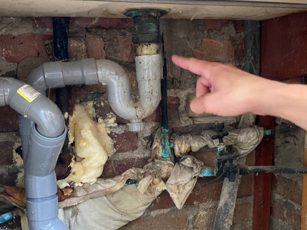 Best Emergency water damage restoration  in Farmer City, IL