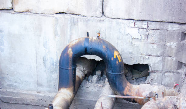 Best Flood restoration services  in Farmer City, IL