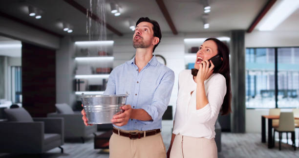 Best Carpet water damage restoration  in Farmer City, IL