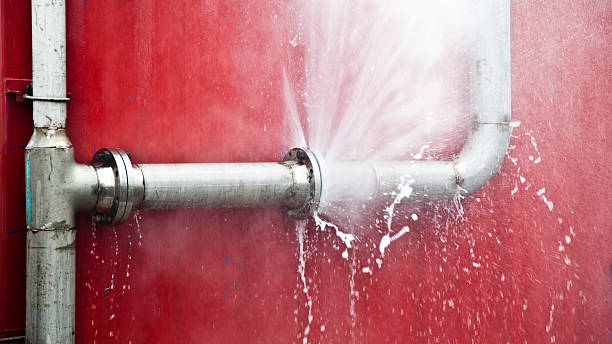 Best 24/7 water damage repair  in Farmer City, IL